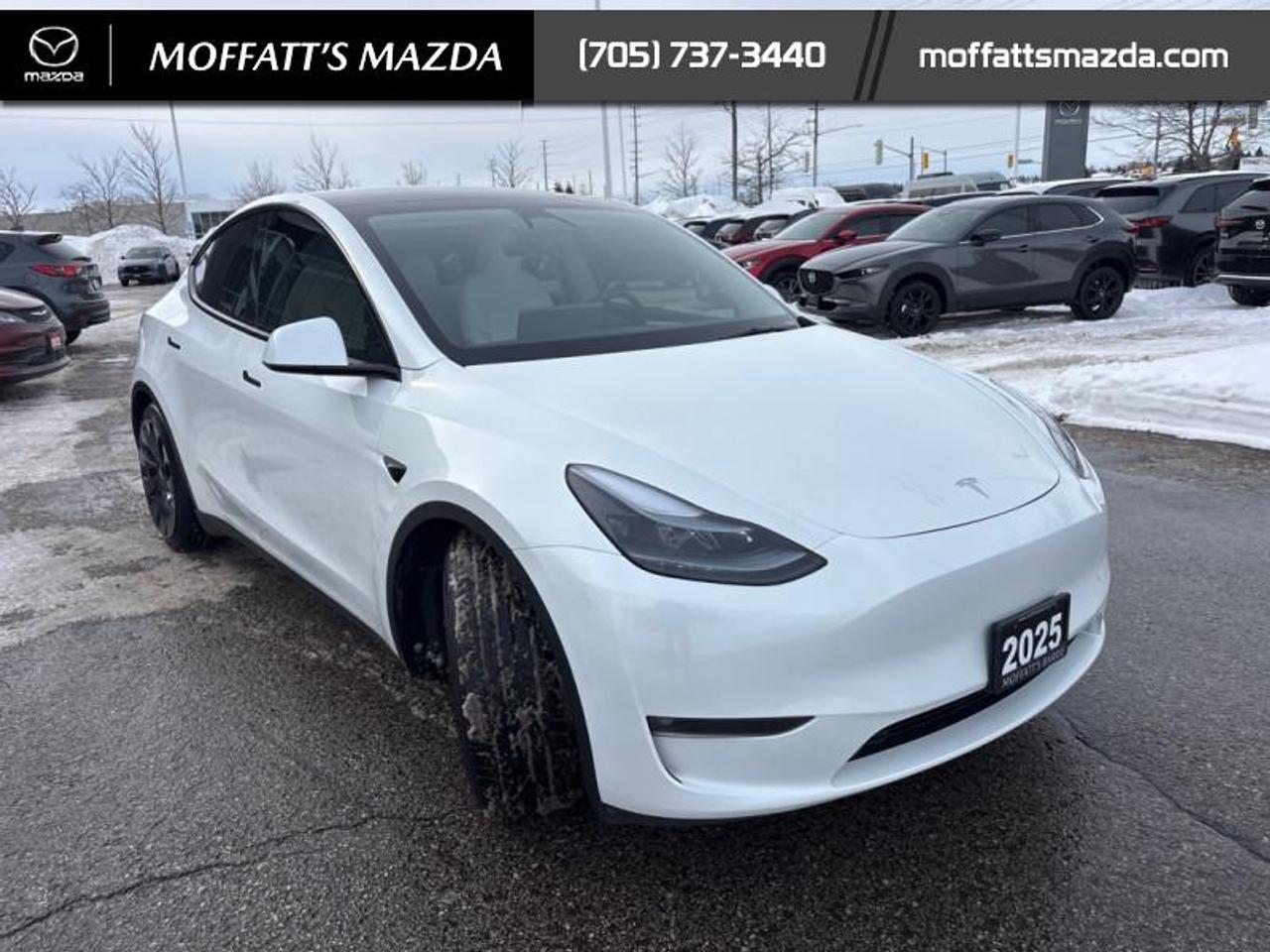 2025 Tesla Model Y PERFORMANCE Photo