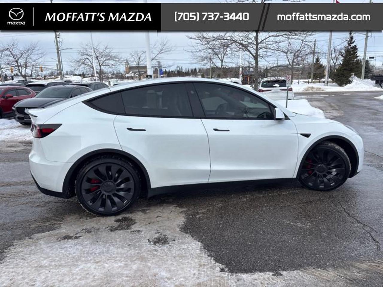 2025 Tesla Model Y PERFORMANCE Photo