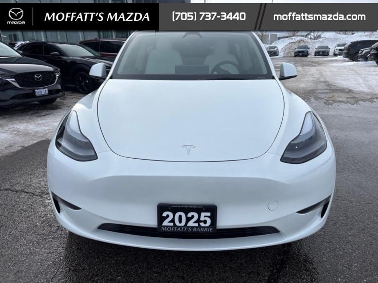 2025 Tesla Model Y PERFORMANCE Photo
