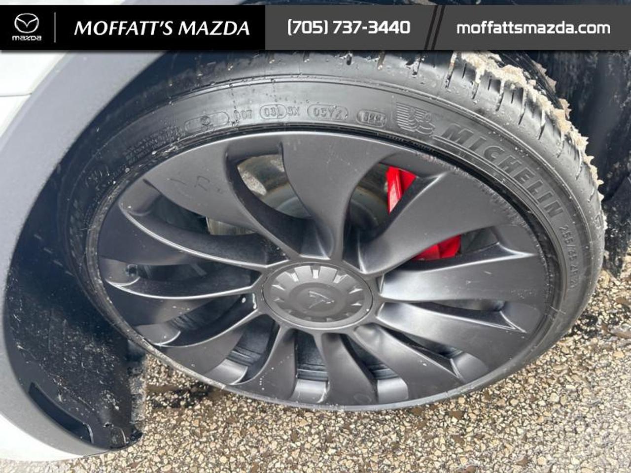 2025 Tesla Model Y PERFORMANCE Photo