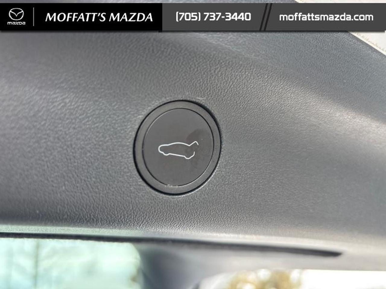 2025 Tesla Model Y PERFORMANCE Photo