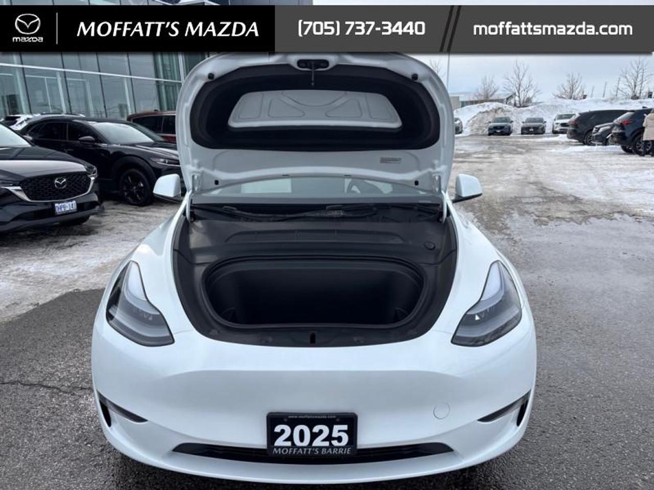 2025 Tesla Model Y PERFORMANCE Photo