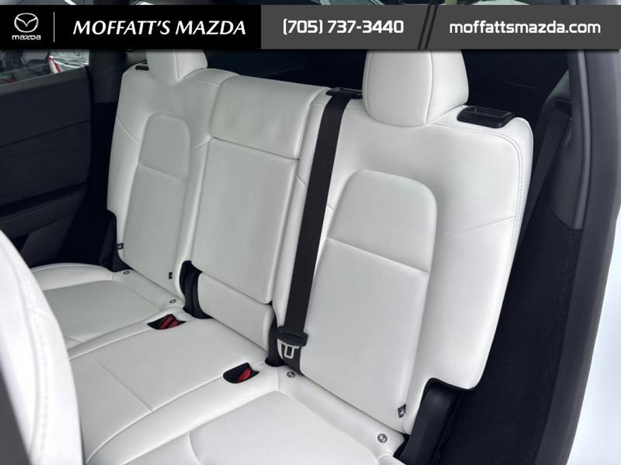 2025 Tesla Model Y PERFORMANCE Photo