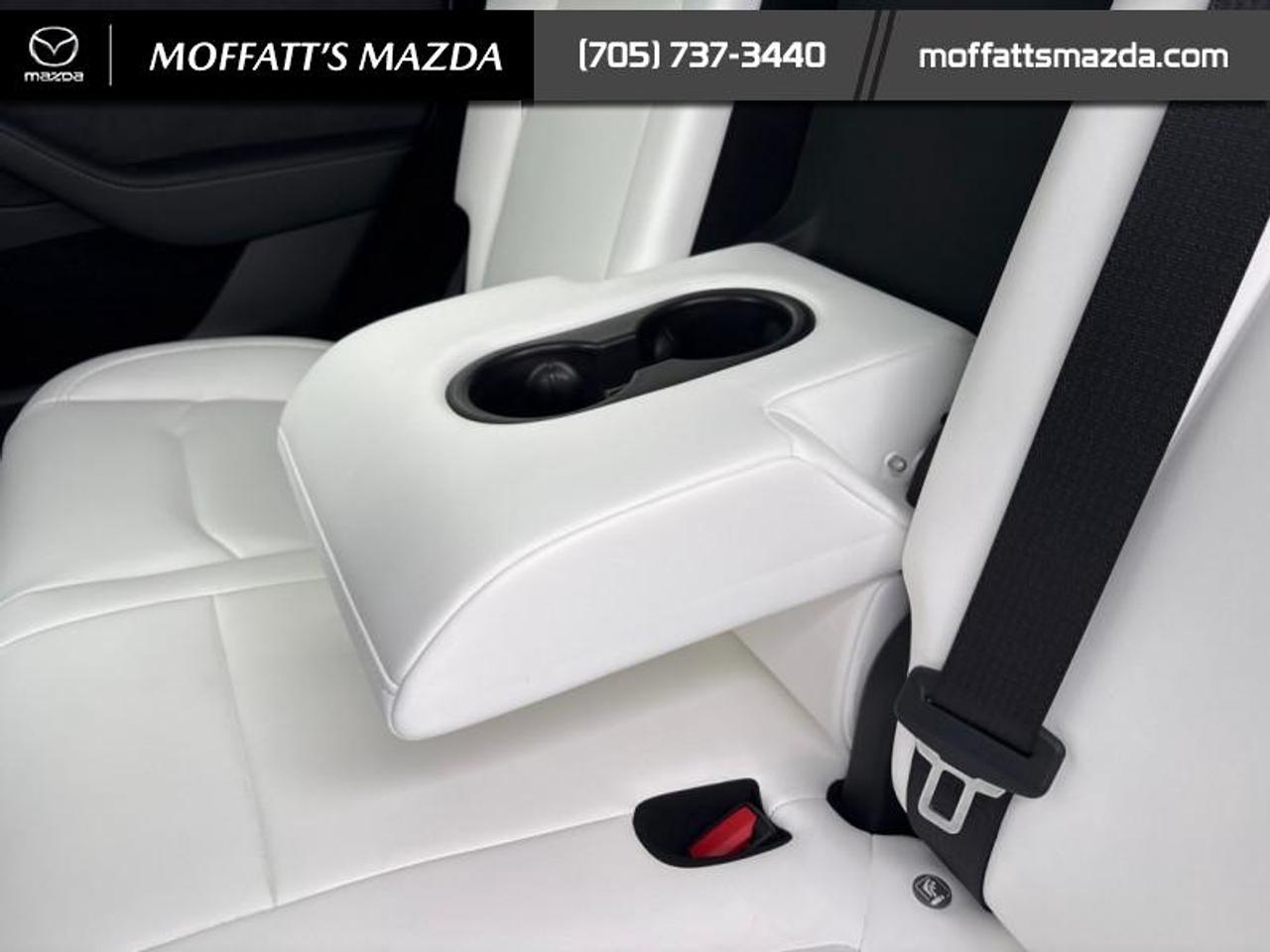 2025 Tesla Model Y PERFORMANCE Photo