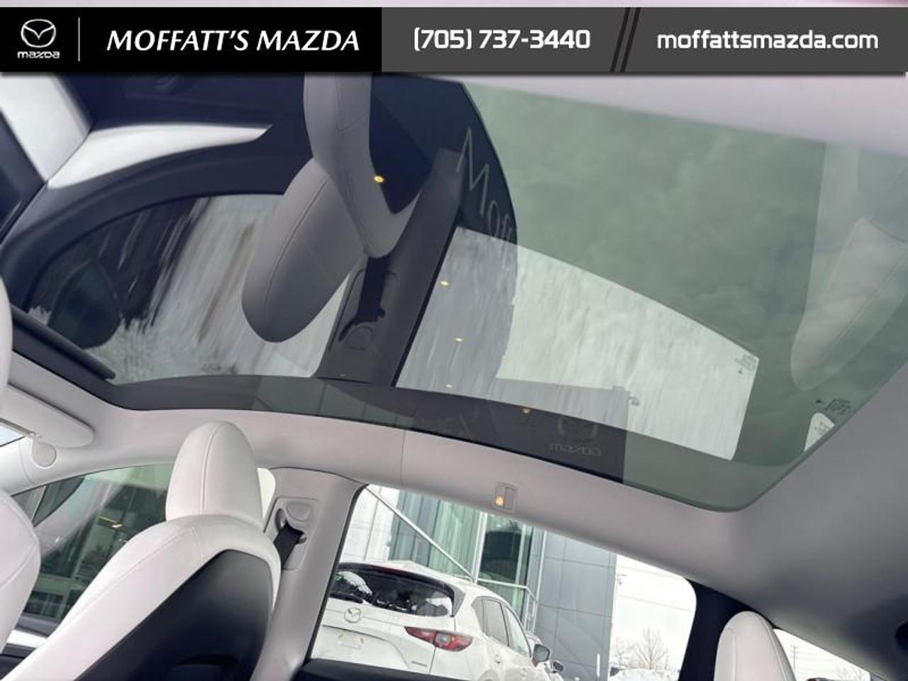 2025 Tesla Model Y PERFORMANCE Photo