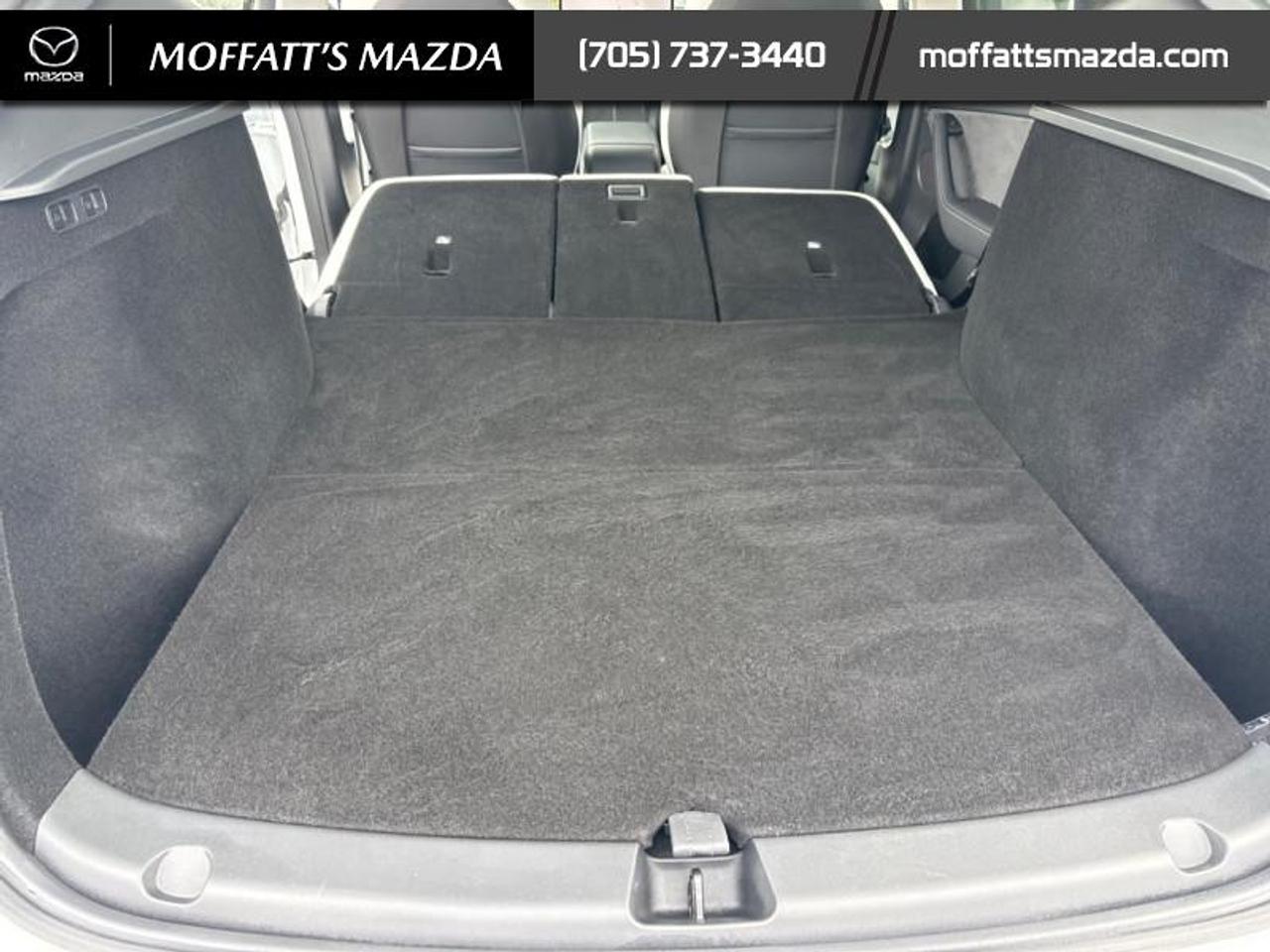 2025 Tesla Model Y PERFORMANCE Photo