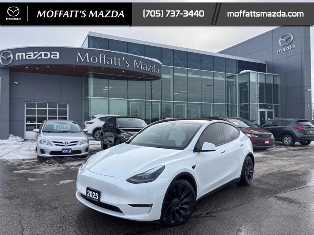 2025 Tesla Model Y PERFORMANCE Photo0