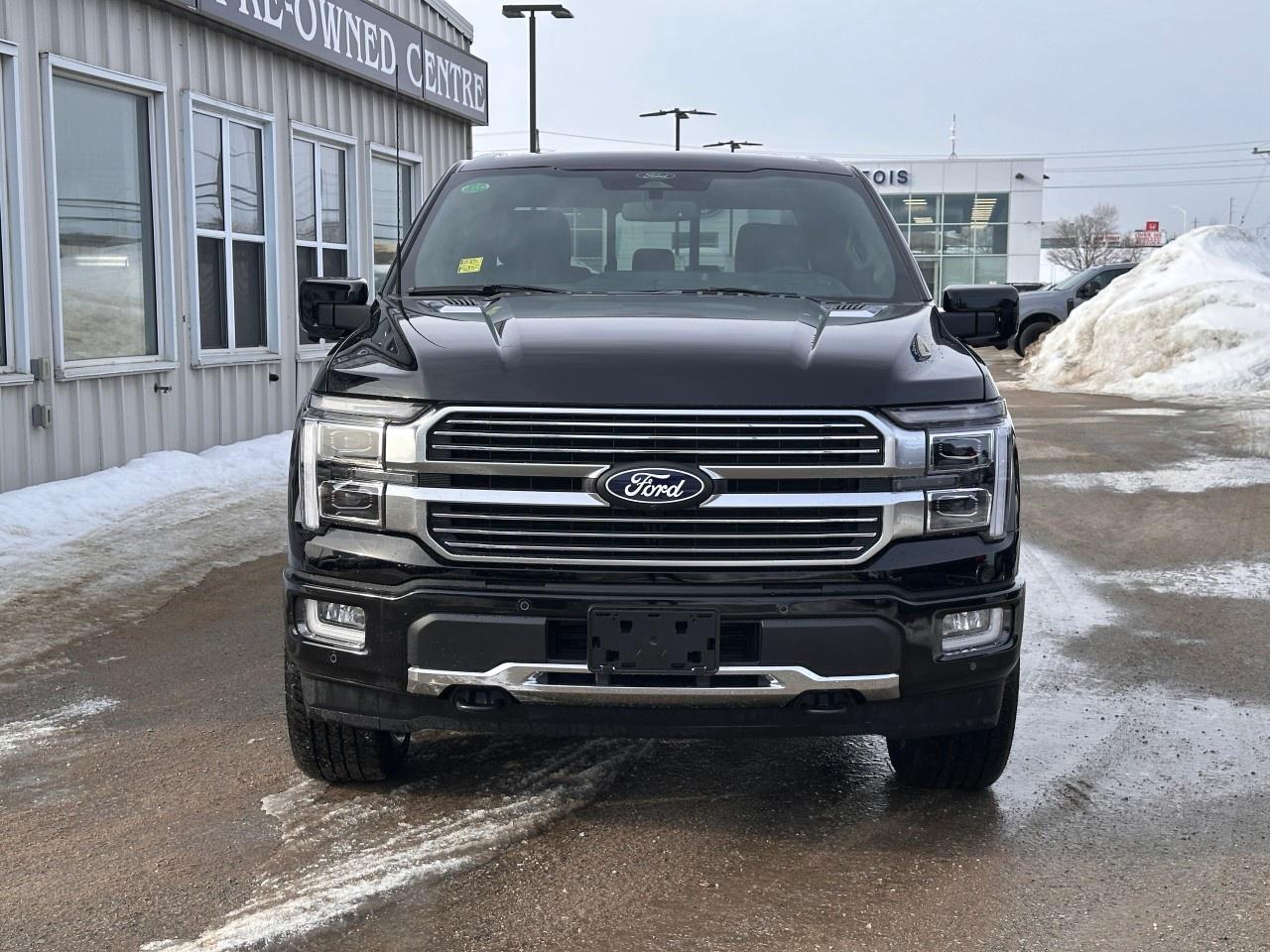 2026 Ford F-150 Platinum 4WD SuperCrew 5.5' Box Photo