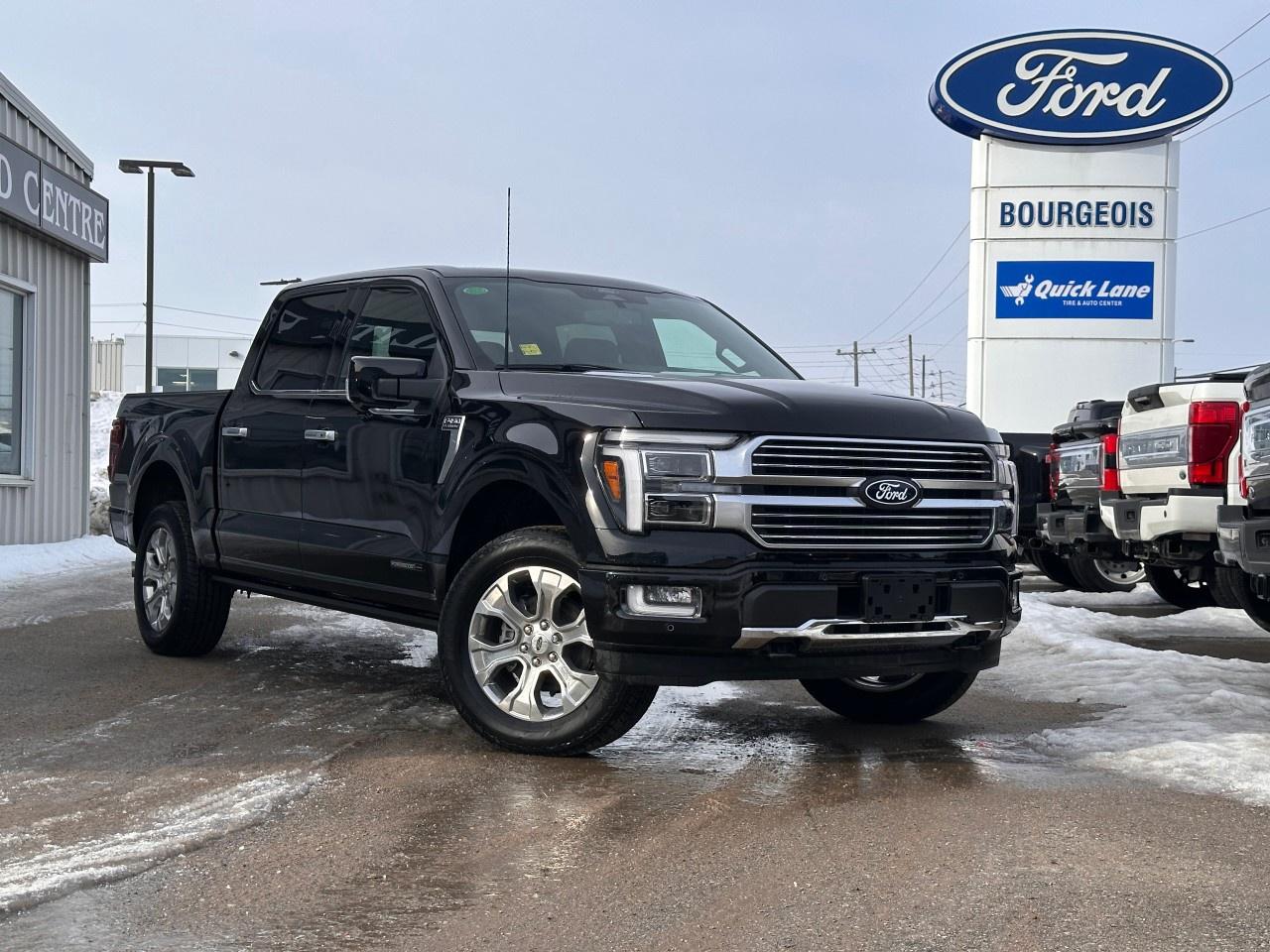 2026 Ford F-150 Platinum 4WD SuperCrew 5.5' Box Photo