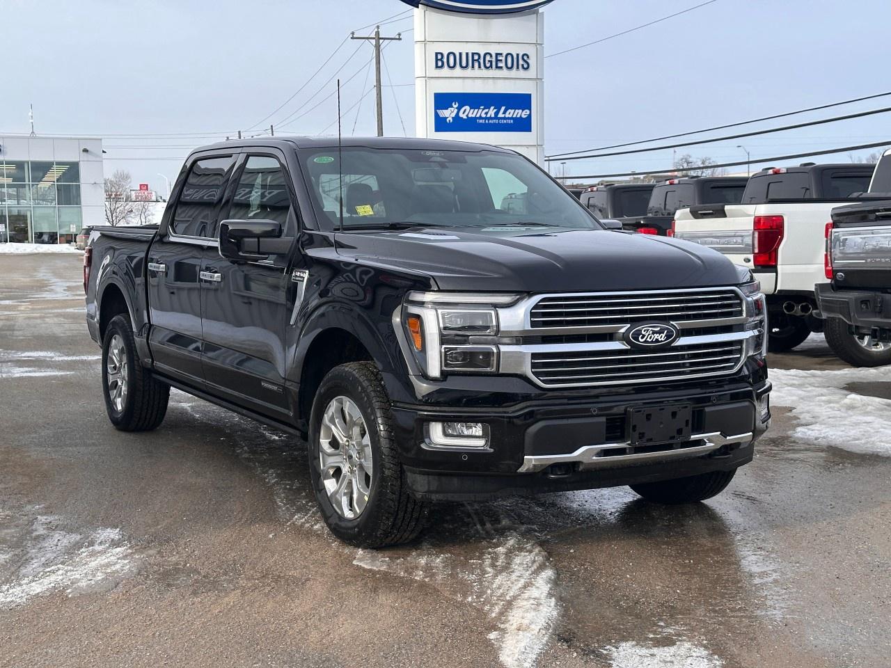 2026 Ford F-150 Platinum 4WD SuperCrew 5.5' Box Photo