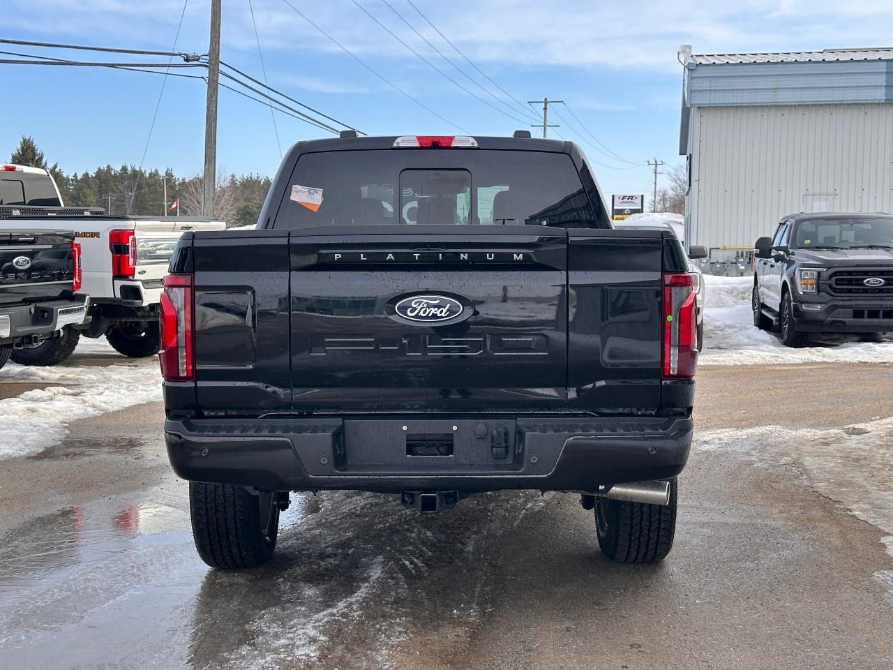 2026 Ford F-150 Platinum 4WD SuperCrew 5.5' Box Photo