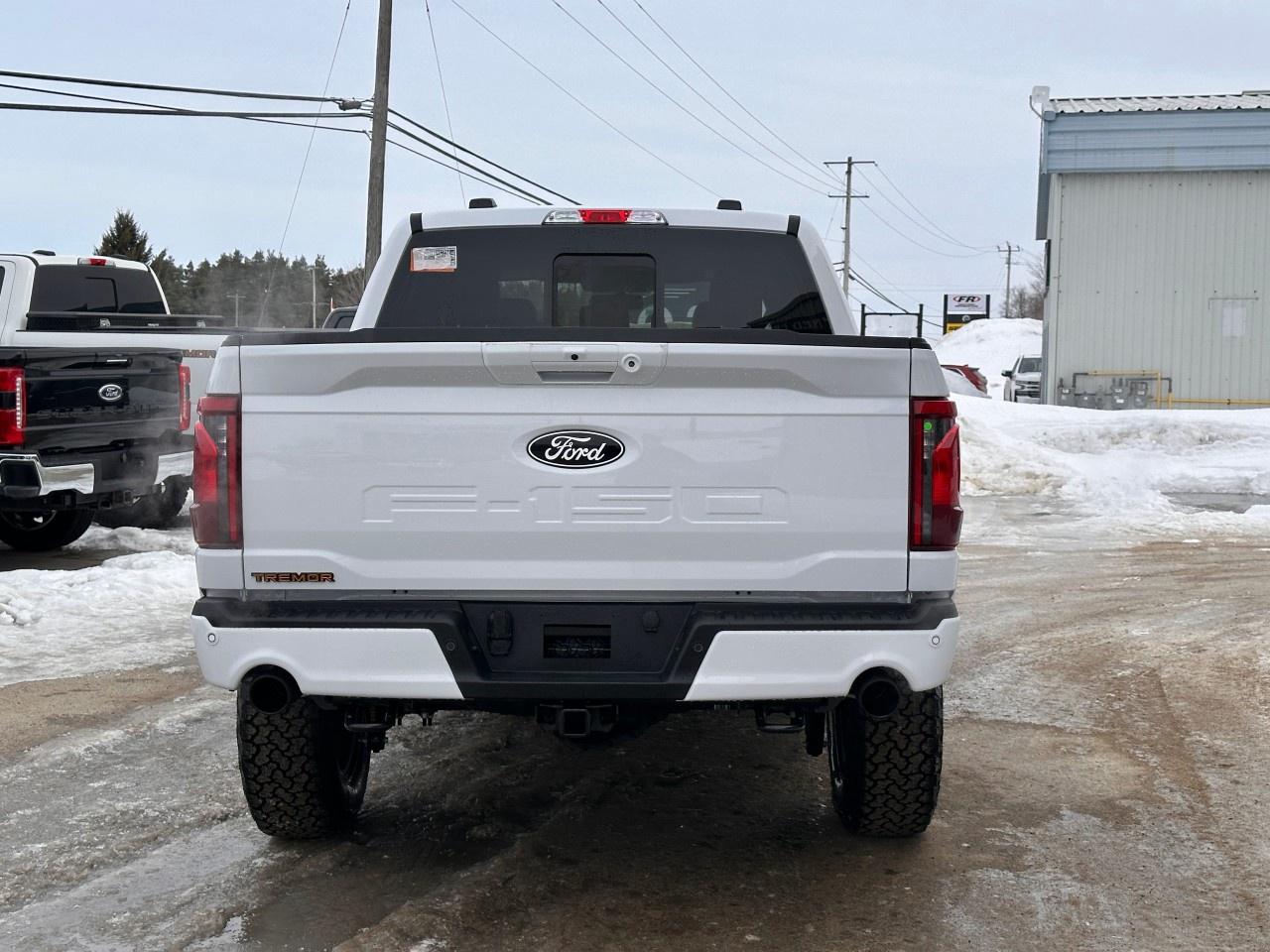 2026 Ford F-150 Tremor 4WD SuperCrew 5.5' Box Photo