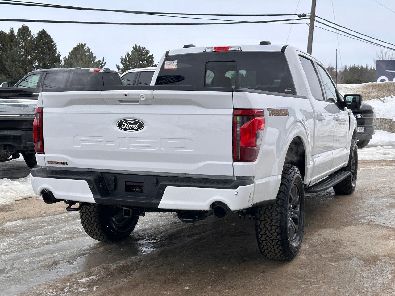 2026 Ford F-150 Tremor 4WD SuperCrew 5.5' Box Photo