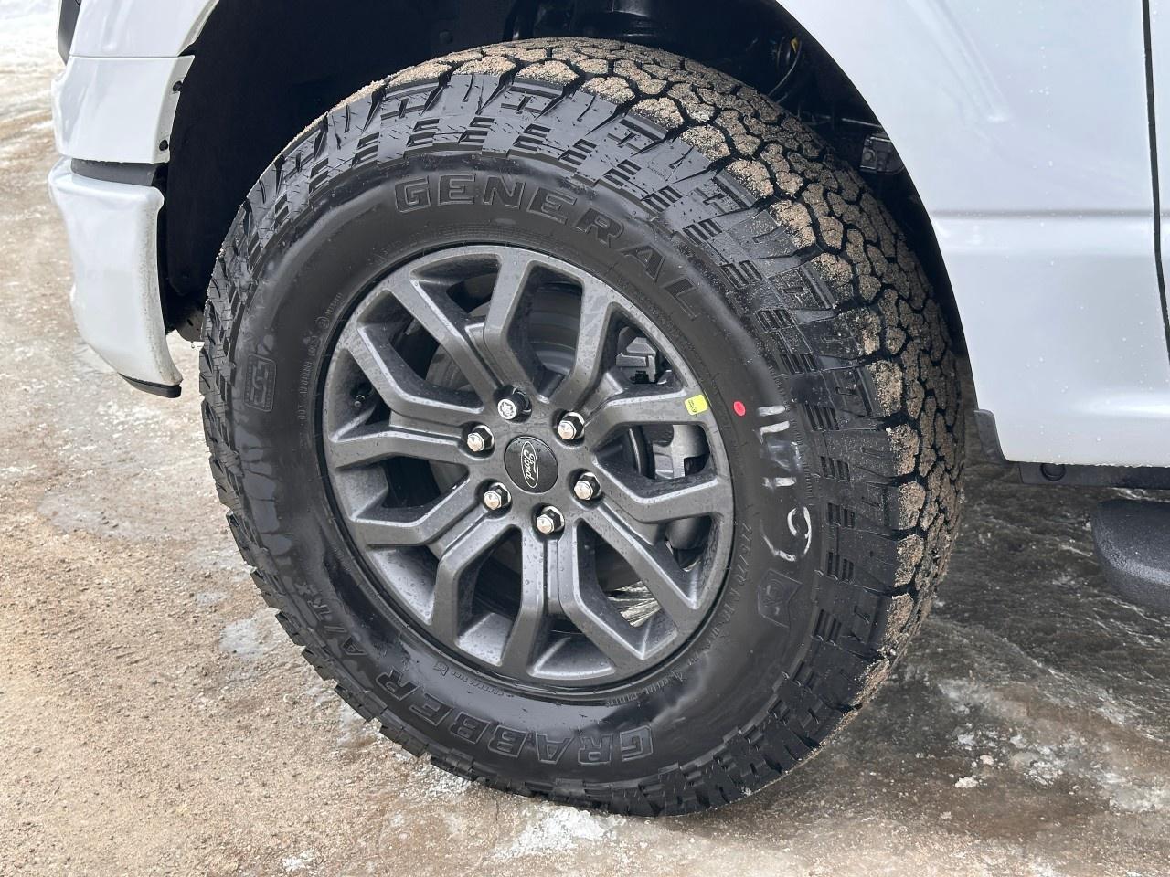 2026 Ford F-150 Tremor 4WD SuperCrew 5.5' Box Photo