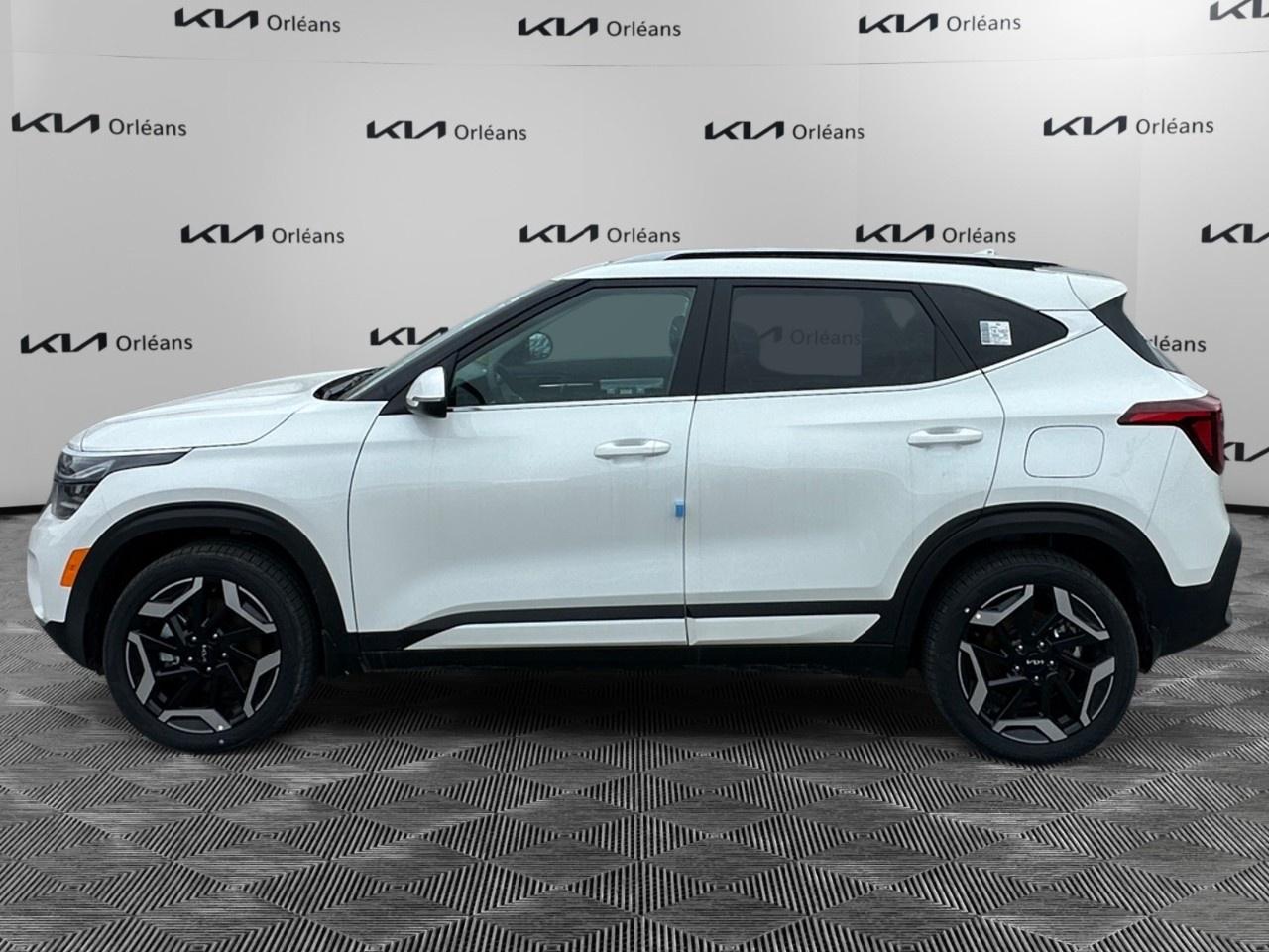 2026 Kia Seltos SX AWD w/Black Interior Photo