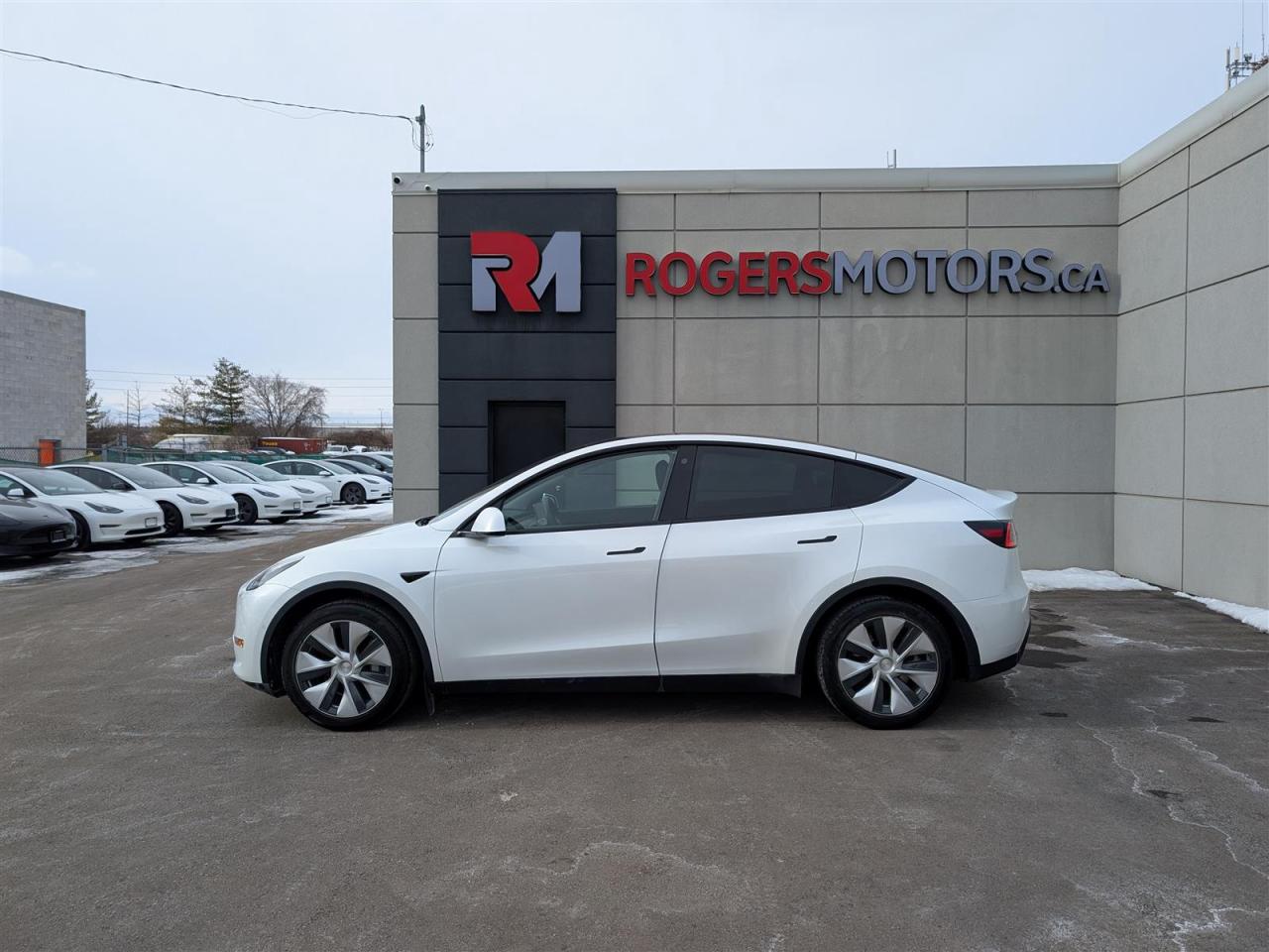 2021 Tesla Model Y STANDARD Photo