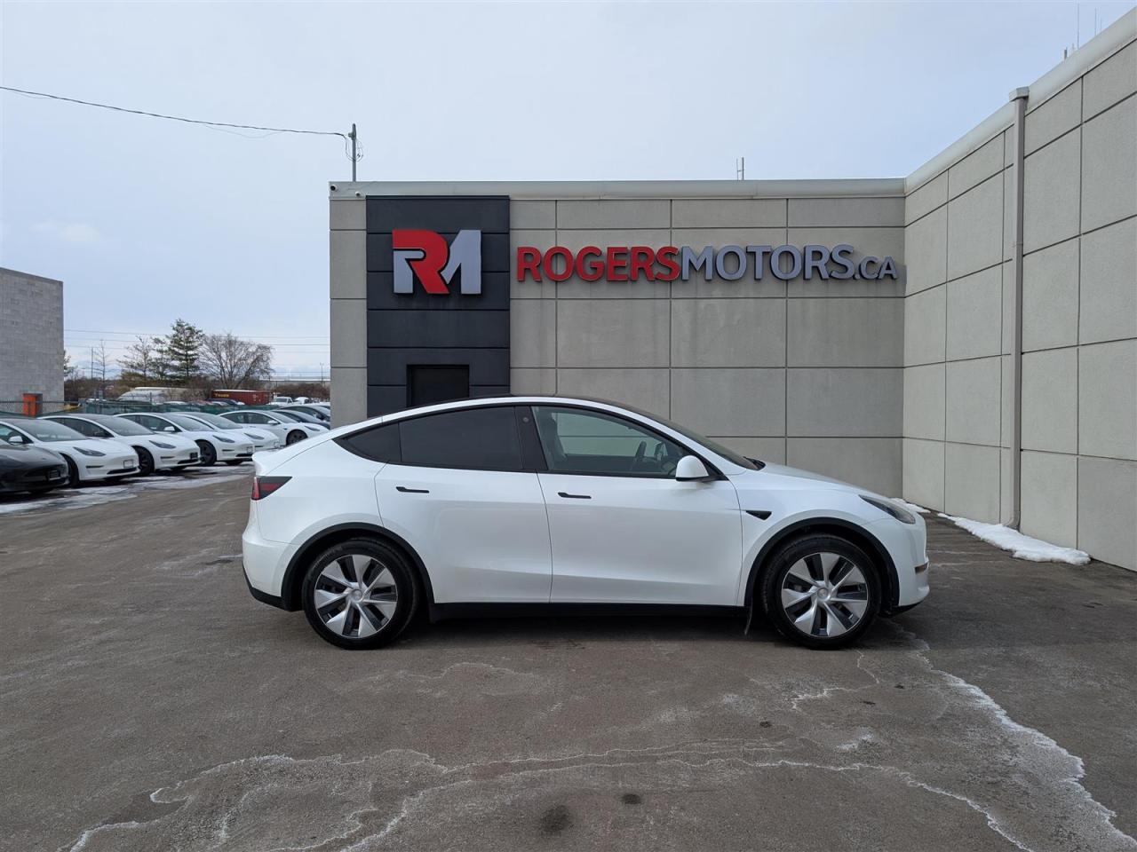 2021 Tesla Model Y STANDARD Photo