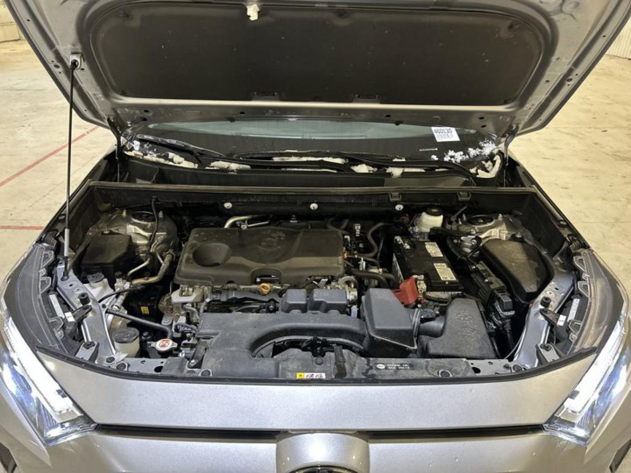 2025 Toyota RAV4 XLE AWD | Heated Steering Wheel | No Accidents Photo