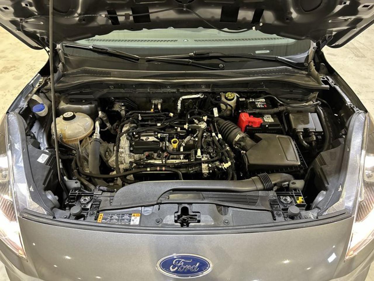 2022 Ford Escape SE FWD Photo