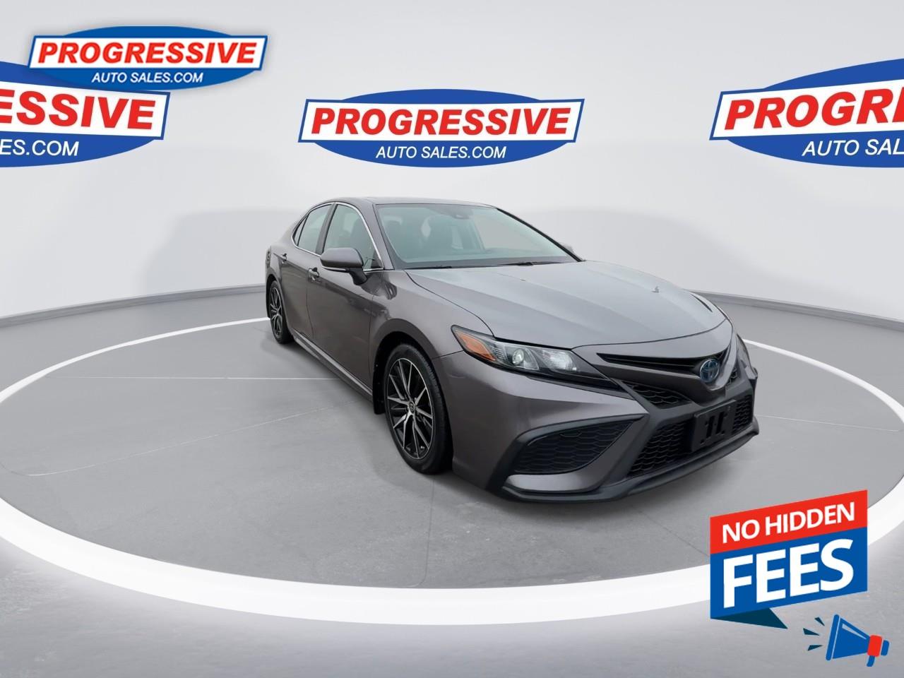 2022 Toyota Camry HYBRID SE Photo2