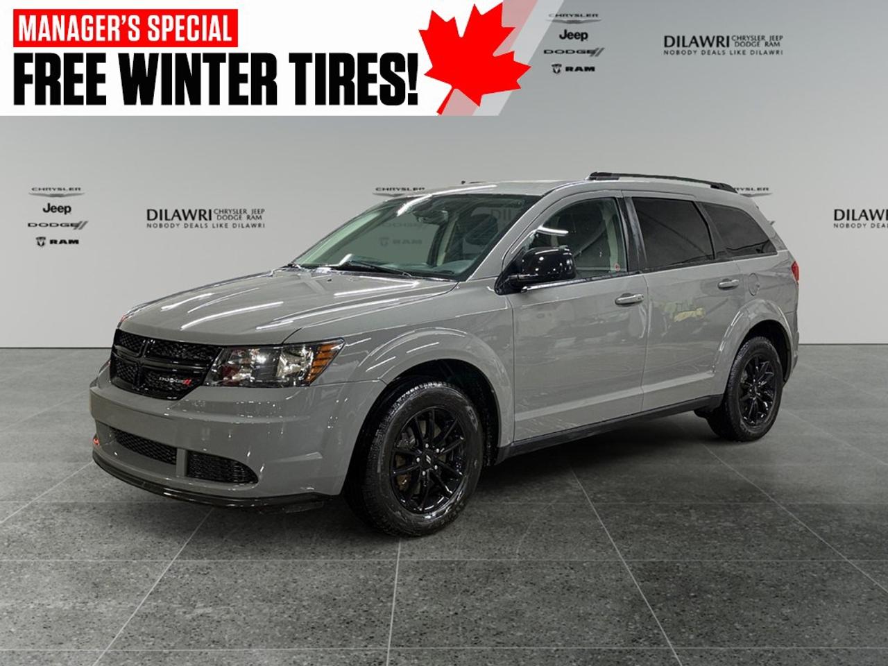 2020 Dodge Journey SE FWD Photo0