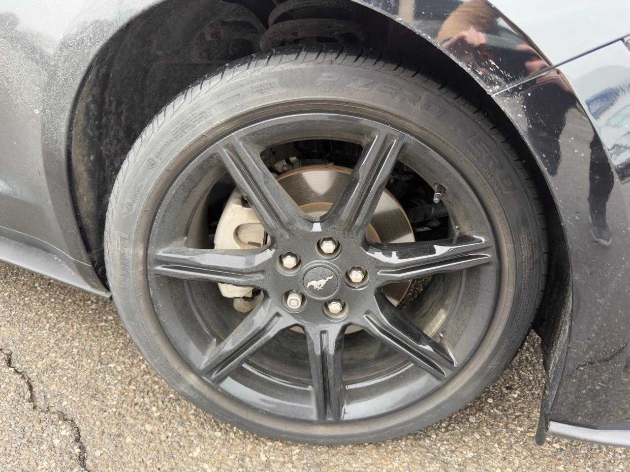 2020 Ford Mustang EcoBoost Premium 201A|BLK ACCENT PKG | FORD SAFE/SMART PKG Photo4