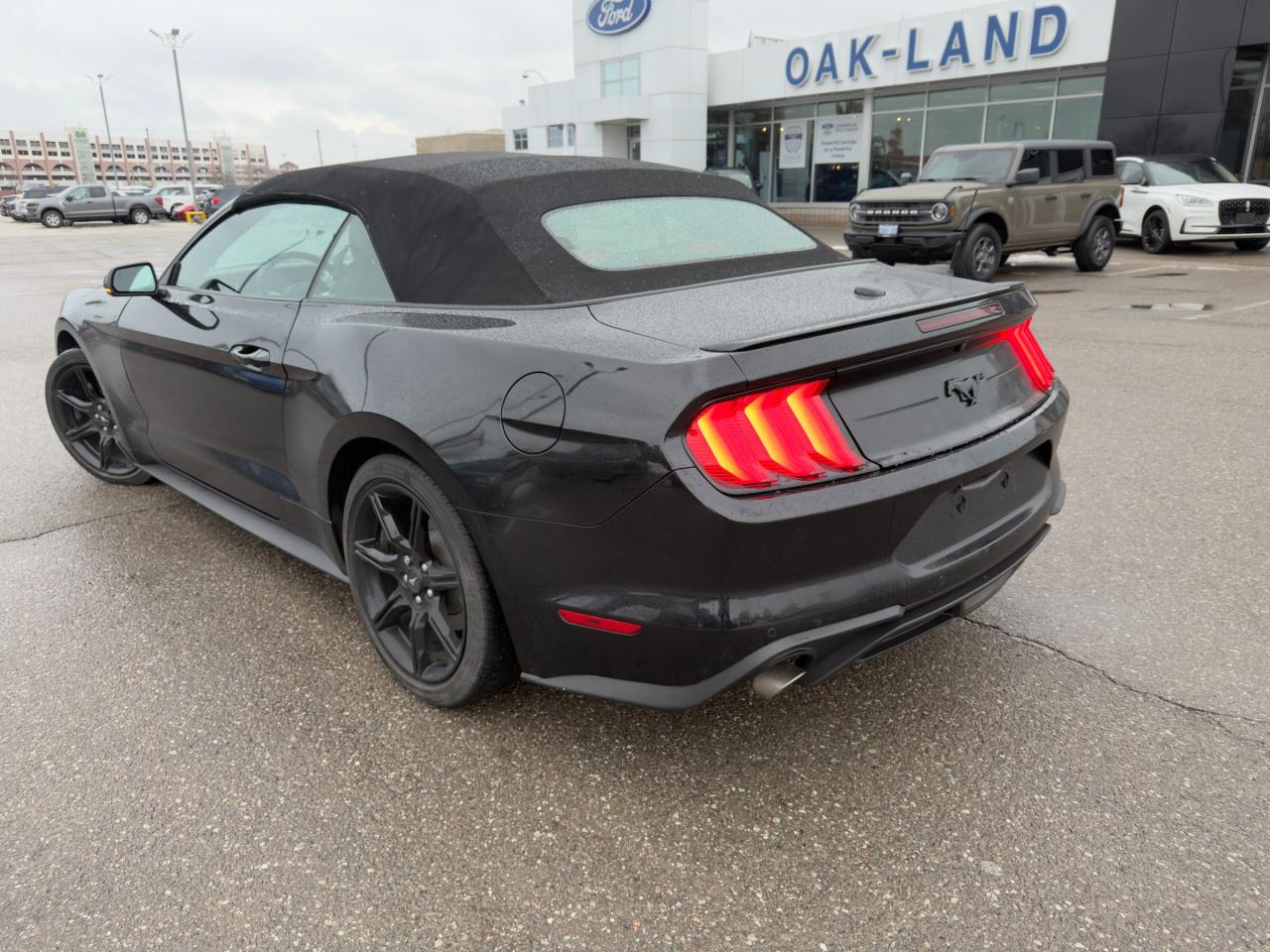 2020 Ford Mustang EcoBoost Premium 201A|BLK ACCENT PKG | FORD SAFE/SMART PKG Photo