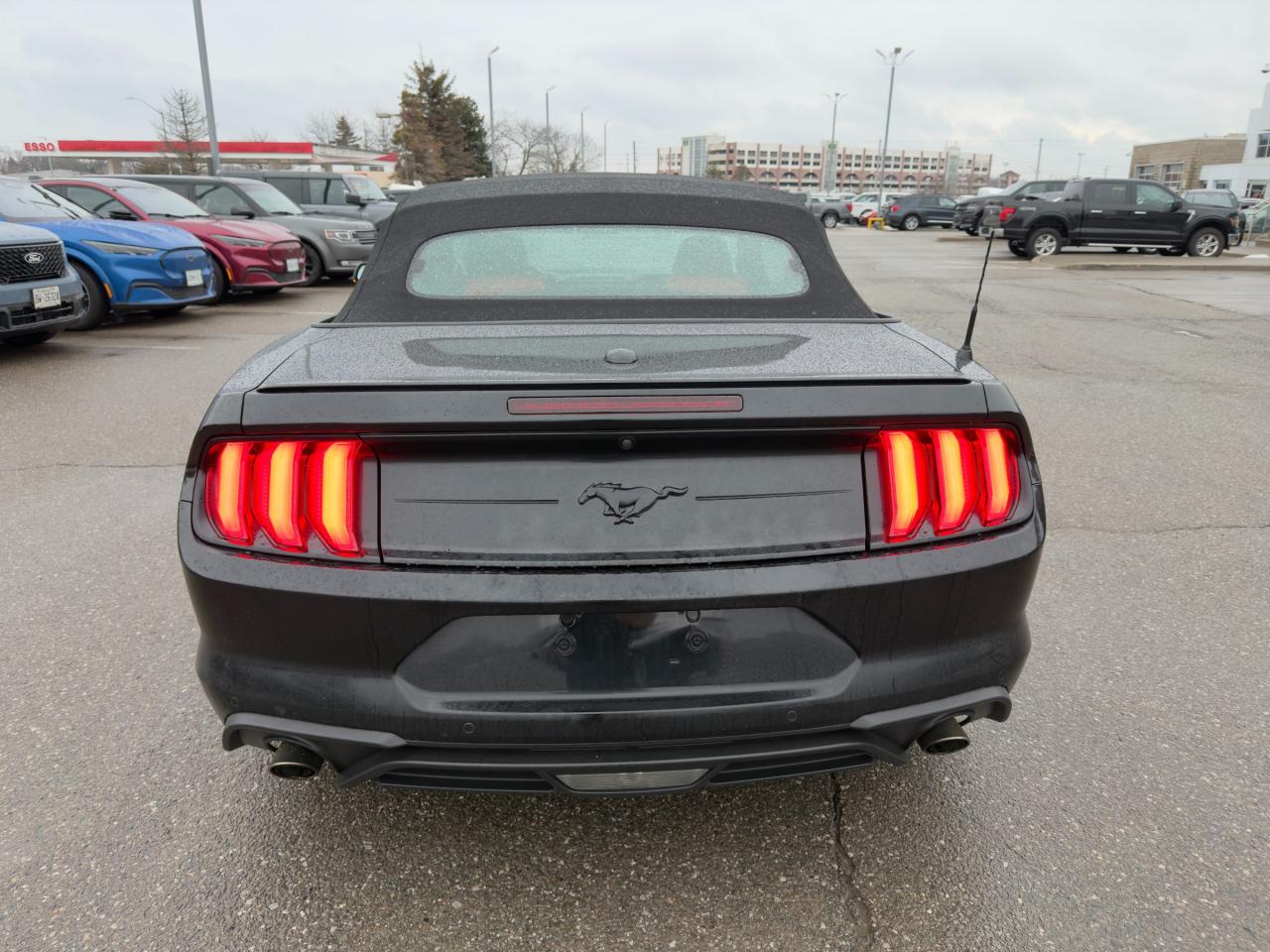 2020 Ford Mustang EcoBoost Premium 201A|BLK ACCENT PKG | FORD SAFE/SMART PKG Photo