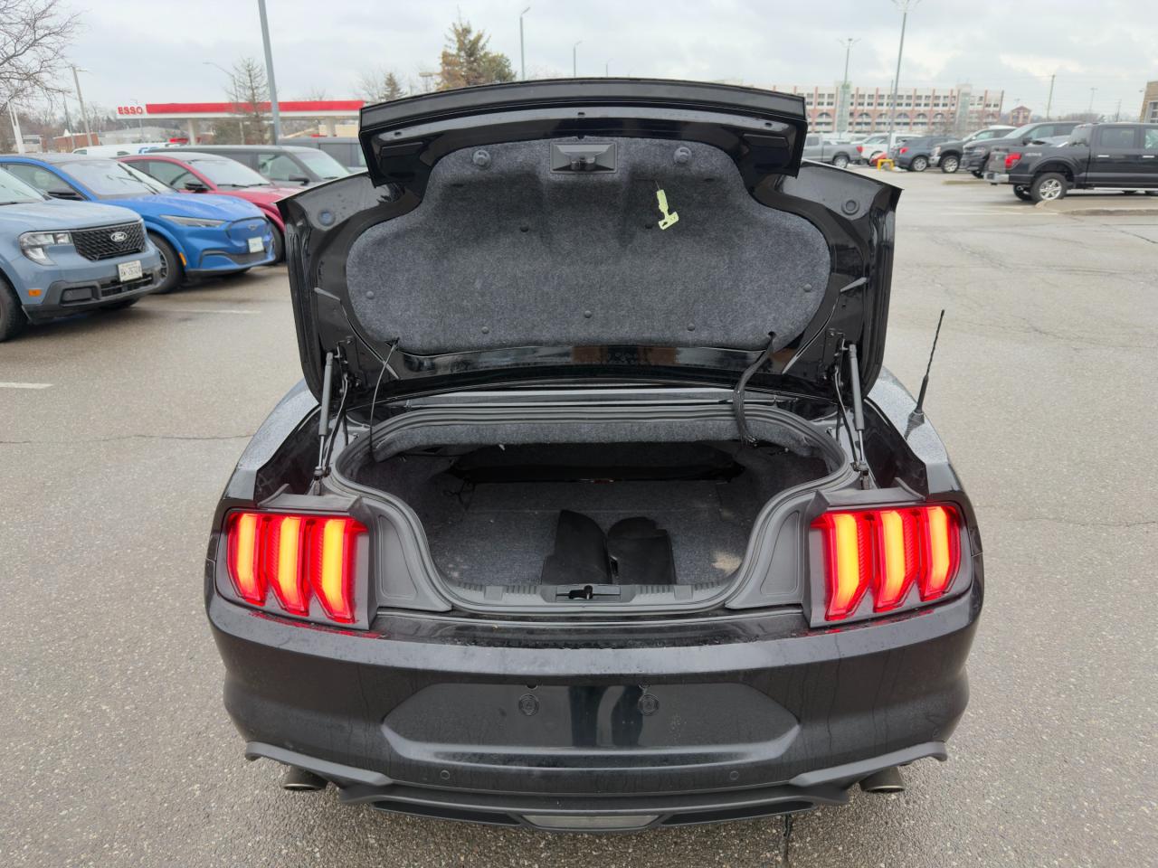 2020 Ford Mustang EcoBoost Premium 201A|BLK ACCENT PKG | FORD SAFE/SMART PKG Photo