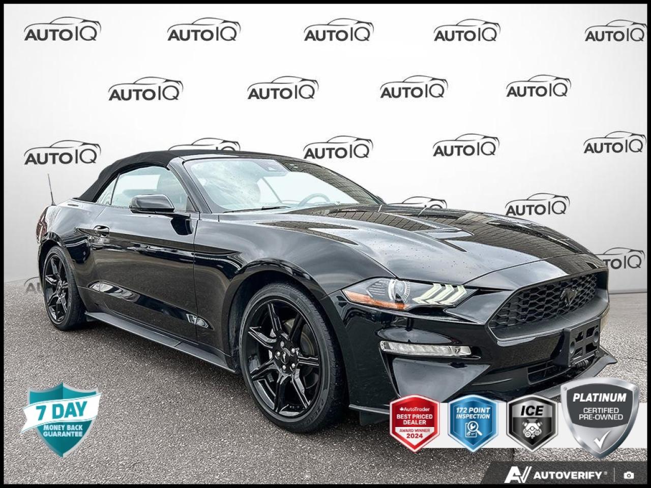 ONE OWNER, NO ACCIDENTS, BOUGHT AND SERVICED HERE, REMOTE START, HEATED AND COOLED SEATS, HEATED STEERING WHEEL, ADAPTIVE CRUISE! <b>OEM OPTIONS: </b>SHOWSTOPPER RED LEATHER-TRIMMED BKT STS W/COLOUR ACCENT ,  EQUIP GRP 201A ,  ENG 2.3L ECO ,  10-SPEED SELECTSHIFT A/T ,  BLACK ACCENT PKG ,  FORD SAFE & SMART PKG ,  MINI SPARE WHEEL & TIRE<br><br><b>MARKET VALUE PRICED:</b> Safety Inspected & Ready.<br>- <b>OEM EXPERTISE:</b> As a Franchise Dealer, we have exclusive access to this vehicles full factory warranty & repair history.<br>- PRIME VALUE: Verified quality.<br>- See the Recon Report.<br><br><b>PERFORMANCE & CAPABILITY: </b>Drive with confidence in this Platinum certified <b>2020 Ford Mustang EcoBoost Premium</b> finished in Shadow Black with a Showstopper Red, Leather-Trimmed Bucket Seats W/Colour Accent interior, creating a bold, sporty, and high-contrast statement. Enjoy the open-air driving experience with this Convertible, perfect for scenic routes and sunny weather. Powered by a responsive <b>2.3L 4cyl</b> engine paired with a smooth <b>10 Speed Automatic</b> and a confident <b>Rear Wheel Drive</b> system.<br><br><b>THE PREMIUM STANDARD: </b>This <strong>PLATINUM CERTIFIED</strong> vehicle features over <strong>$1000</strong> in the extra care and preparation that other dealers often skip:<br>- Synthetic Oil & Filter Change<br>- New Engine & Cabin Air Filter<br>- New Wiper Blades<br>- 4-Wheel Alignment<br>- Professional Detail & Carpet Shampoo<br>- 3X the Standard for brakes/tires<br>- 2 Keys/Fobs & door code (if equipped)<br><br><b>VEHICLE HISTORY: </b><br> - <b>Dealer Serviced:</b> Inspected and serviced by our technicians.<br><br><b>PROFILE & PEDIGREE: </b><br> - <b>Equipped with the Equipment Group 201A Package:</b> This vehicle includes a desirable bundle of factory options.<br> - <b>Shop with Confidence:</b> Over <b>27</b> high-resolution photos are online for you to view every detail.<br>The <b>Rear-Wheel Drive</b> configuration delivers a balanced and engaging driving experience.<br>Powered by a versatile <b>2.3L 4cyl</b>, offering a great balance of performance and fuel efficiency.<br>Its modern <b>10-Speed Automatic</b> transmission is engineered to handle significant power, ensuring you are always in the right gear for responsive acceleration and smooth cruising.<br><br><b>EQUIPMENT: </b><br><b>Safety & Driver Assistance:</b> TRACTION CONTROL, ABS BRAKES, BRAKE ASSIST, DUAL FRONT IMPACT AIRBAGS, DUAL FRONT SIDE IMPACT AIRBAGS, IGNITION DISABLE<br><b>Comfort & Convenience:</b> POWER WINDOWS, POWER STEERING, 1-TOUCH DOWN, 1-TOUCH UP, AUTO-DIMMING REARVIEW MIRROR, AUTOMATIC TEMPERATURE CONTROL<br><b>Technology & Entertainment:</b> TACHOMETER, COMPASS, OUTSIDE TEMPERATURE DISPLAY<br><b>Performance & Capability:</b> FOUR WHEEL INDEPENDENT SUSPENSION, FRONT ANTI-ROLL BAR, REAR ANTI-ROLL BAR, SPEED-SENSING STEERING<br><b>Exterior & Styling:</b> SPOILER, ALLOYS, DELAY-OFF HEADLIGHTS, FRONT FOG LIGHTS, FULLY AUTOMATIC HEADLIGHTS, PERIMETER/APPROACH LIGHTS<br><br><b>Start your week off right!</b> Schedule a test drive of this impressive Ford Mustang today.<p> </p>

<h4>PLATINUM CERTIFIED PRE-OWNED VEHICLE</h4>

<p>
- 36-point Provincial Safety Inspection<br>
- 172-point inspection combined mechanical, aesthetic, functional inspection including a vehicle report card<br>
- Warranty: 90-days or 5,000 KM on inspected mechanical items, factory extended options eligible for warranty up to 200,000 KM<br>
- Complimentary CARFAX Vehicle History Report<br>
- 3X Provincial safety standard for tire tread depth<br>
- 3X Provincial safety standard for brake pad thickness<br>
- 7 Day Money Back Guarantee*<br>
- Market Value Report provided<br>
- Guaranteed 2 keys/key fobs and door code (if equipped)<br>
- Equipped vehicles include a complimentary 3 month Sirius satellite radio subscription!<br>
- Complimentary full interior detailing and carpet shampoo<br>
- Paintless dent repair and/or touch-ups for applicable body panels<br>
- Vehicle scanned for open recall notifications from manufacturer
</p>

<p>SPECIAL NOTE: This vehicle is reserved for AutoIQs retail customers only. Please, no dealer calls. Errors & omissions excepted.</p>

<p>*As-traded, specialty or high-performance vehicles are excluded from the 7-Day Money Back Guarantee Program (including, but not limited to Ford Shelby, Ford mustang GT, Ford Raptor, Chevrolet Corvette, Camaro 2SS, Camaro ZL1, V-Series Cadillac, Dodge/Jeep SRT, Hyundai N Line, all electric models)</p>