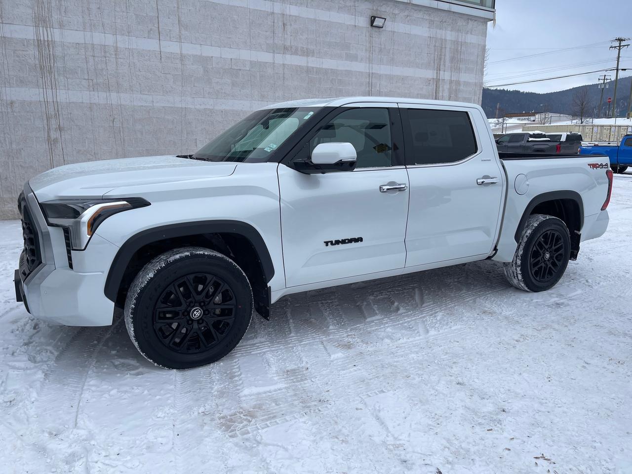 2023 Toyota Tundra Limited  Photo0