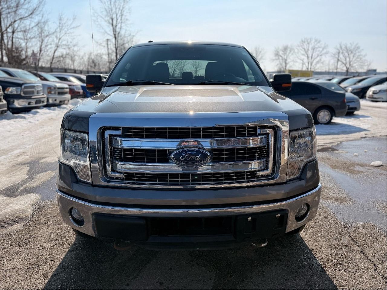 2014 Ford F-150 XLT | Clean CARFAX Photo