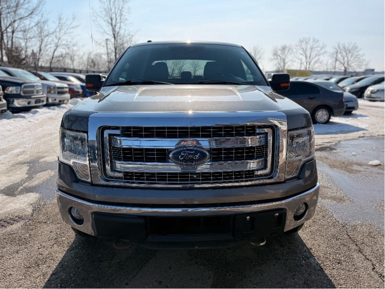 2014 Ford F-150 XLT | Clean CARFAX Photo