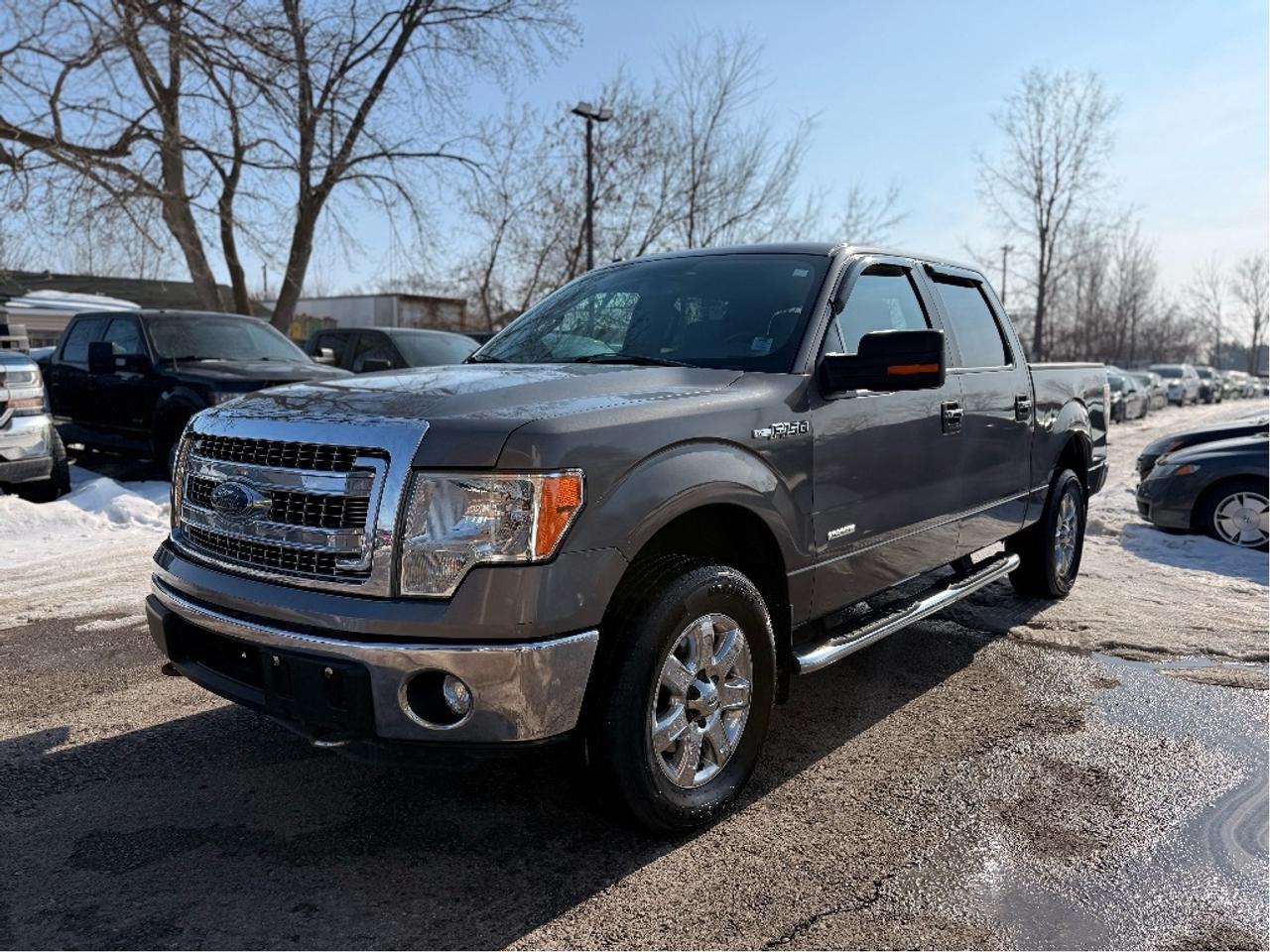 2014 Ford F-150 XLT | Clean CARFAX Photo