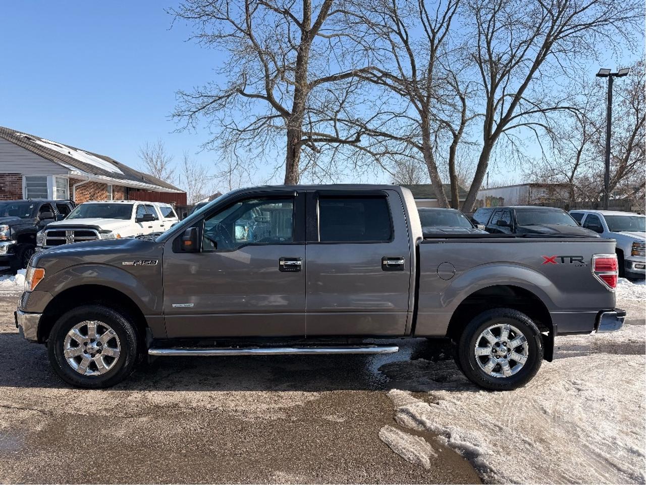 2014 Ford F-150 XLT | Clean CARFAX Photo