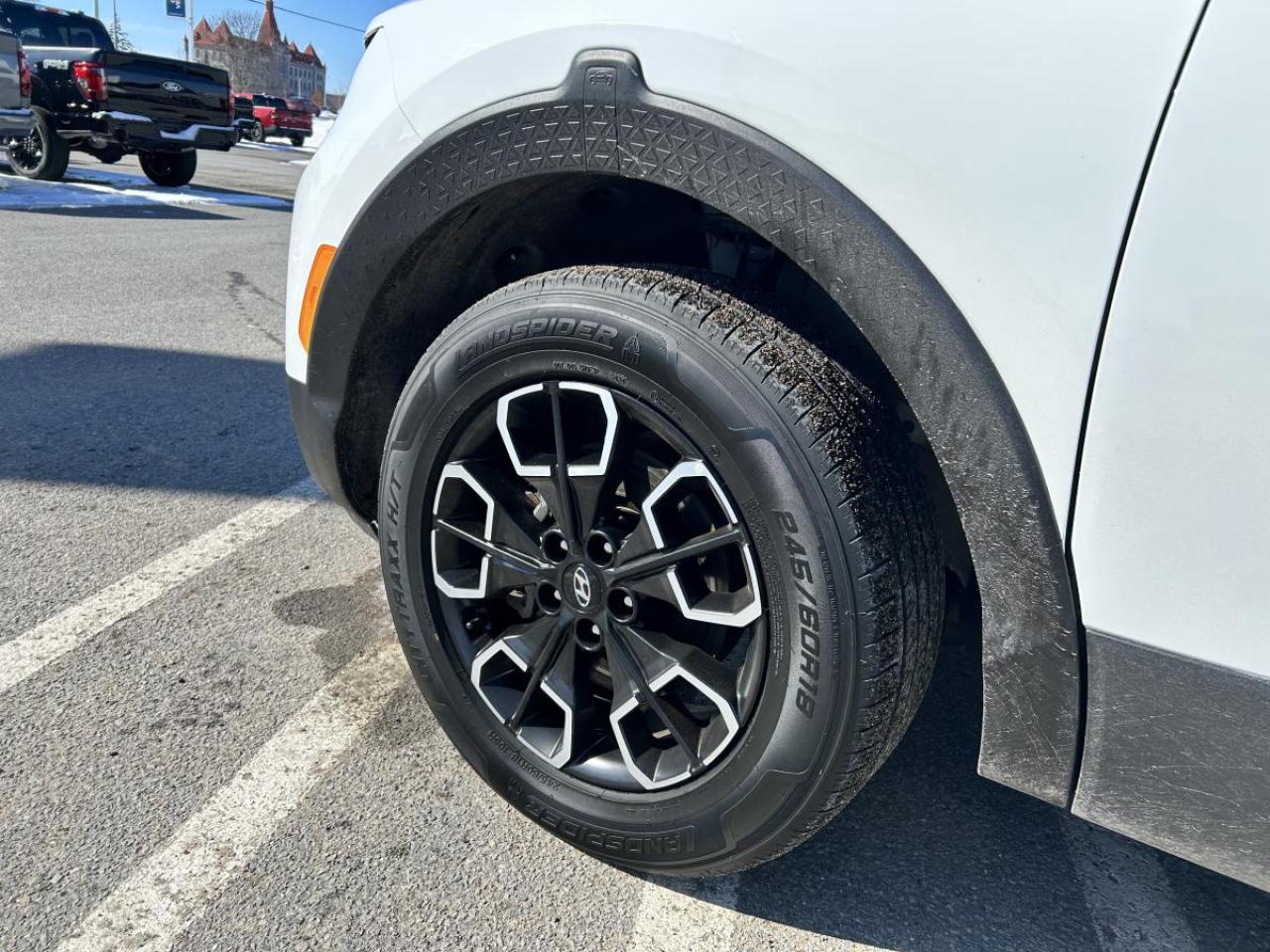 2024 Hyundai Santa Cruz Preferred Photo