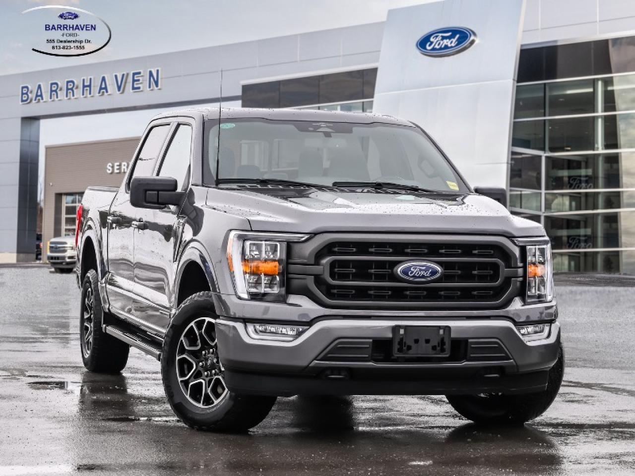 2023 Ford F-150 XLT Photo
