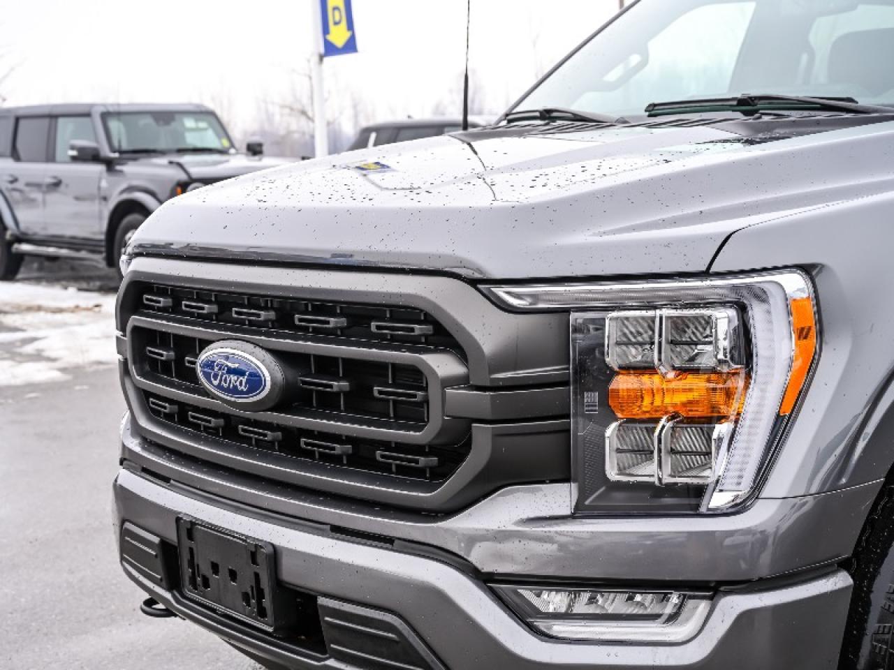 2023 Ford F-150 XLT Photo