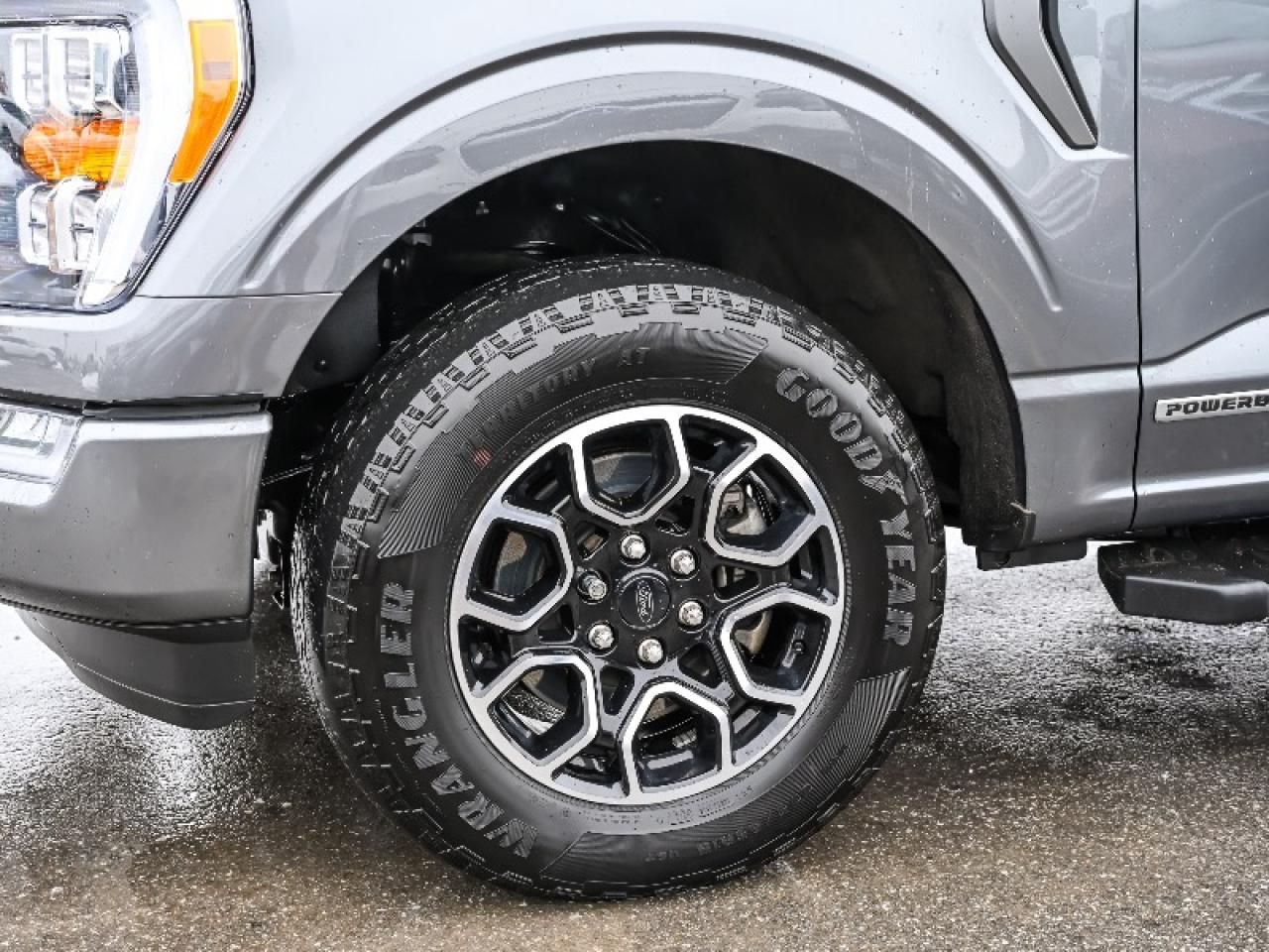 2023 Ford F-150 XLT Photo