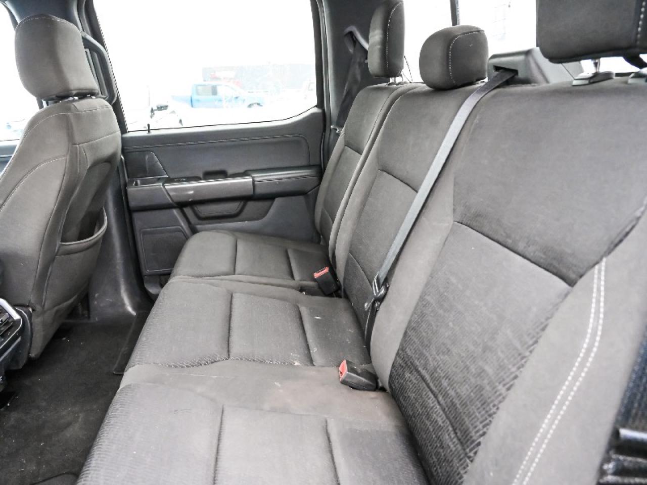 2023 Ford F-150 XLT Photo