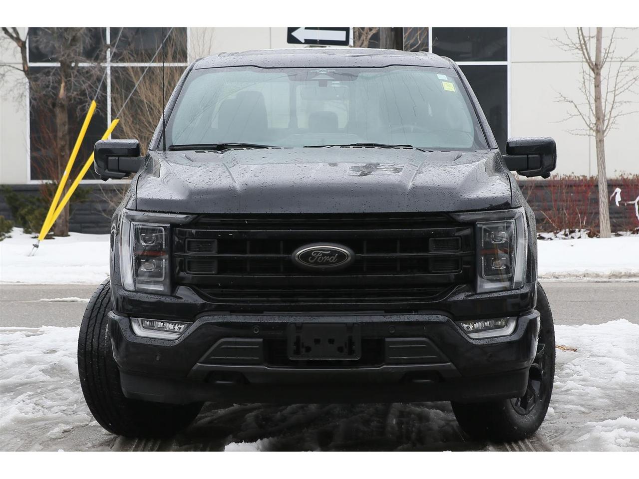 2023 Ford F-150 Platinum AWD | Blue Cruise | Panoramic Roof | Navigation | Leather Seats | Platinum Black Appearance Photo