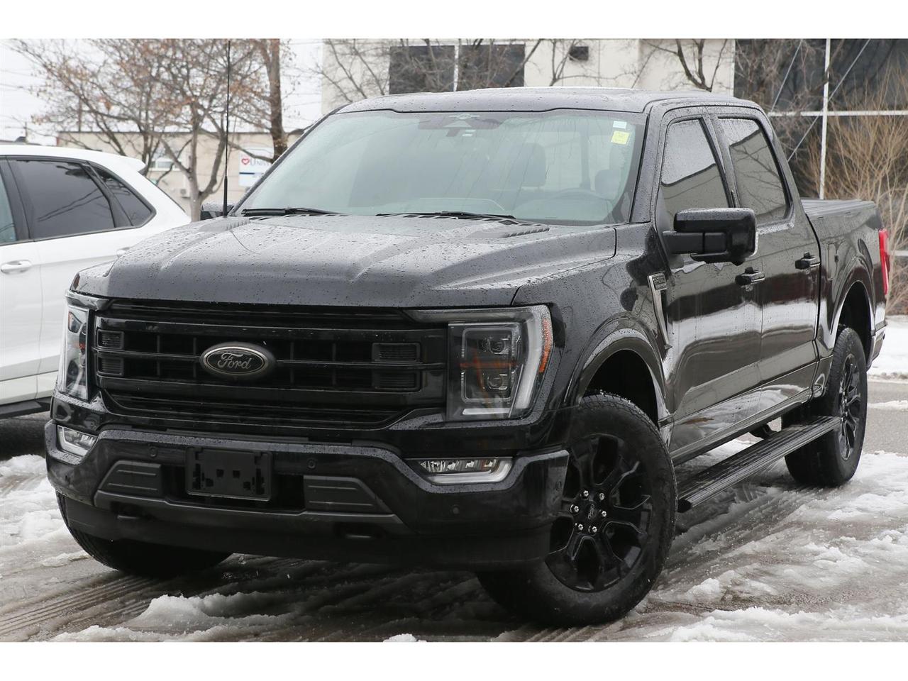 2023 Ford F-150 Platinum AWD | Blue Cruise | Panoramic Roof | Navigation | Leather Seats | Platinum Black Appearance Photo
