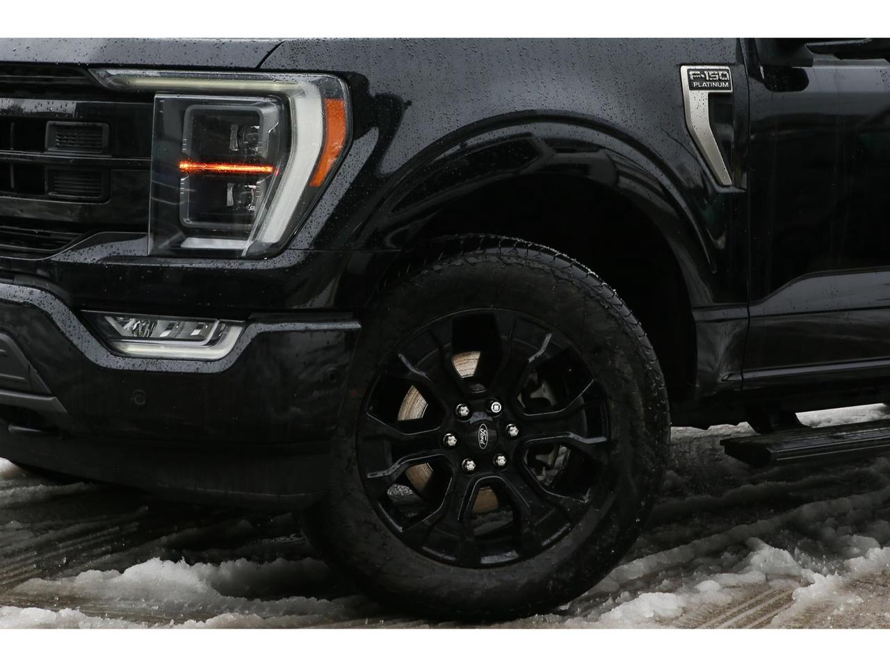 2023 Ford F-150 Platinum AWD | Blue Cruise | Panoramic Roof | Navigation | Leather Seats | Platinum Black Appearance Photo