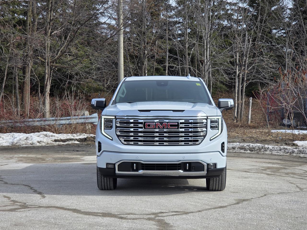 2026 GMC Sierra 1500 Denali Photo4
