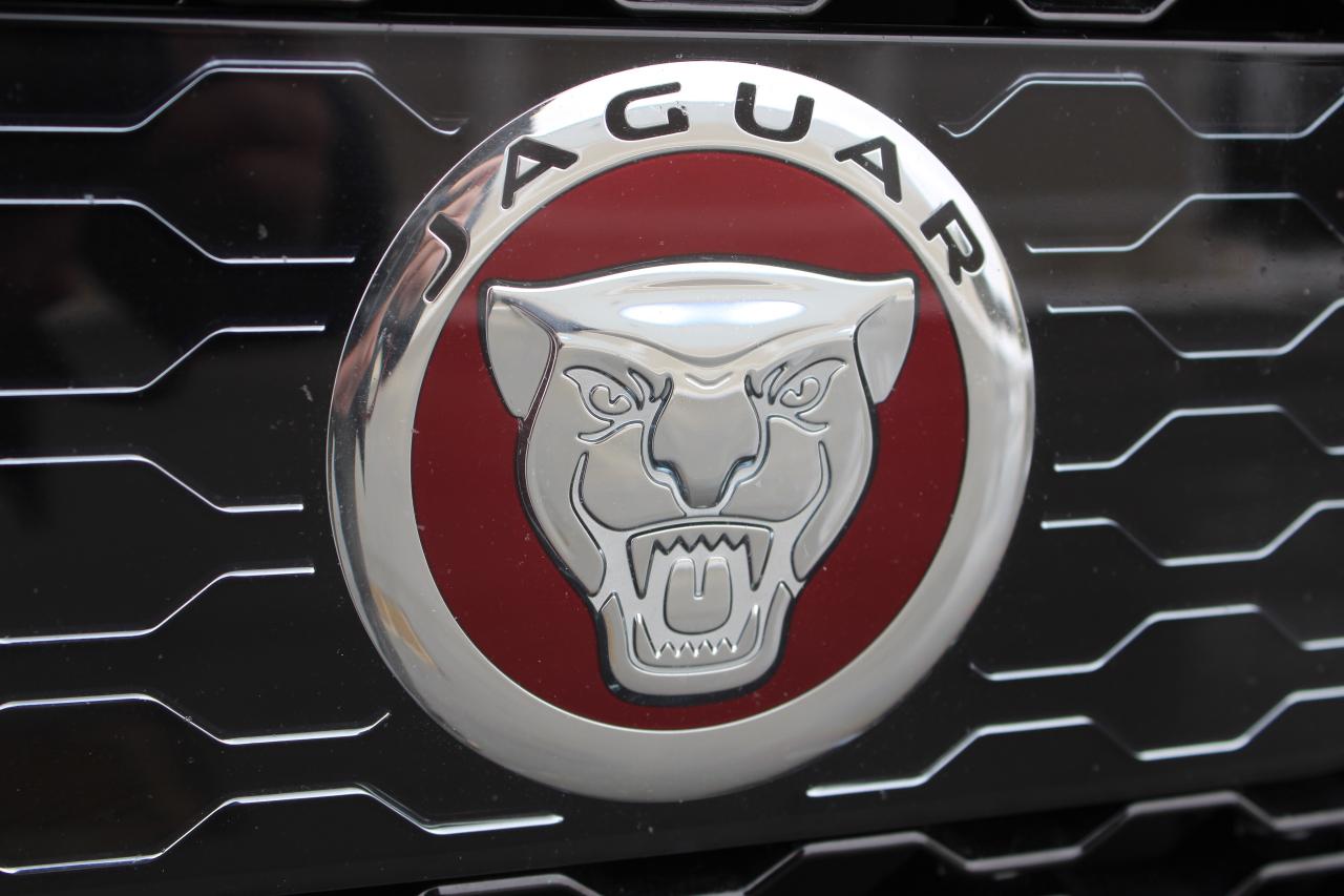 2017 Jaguar F-PACE 35t R-Sport Photo