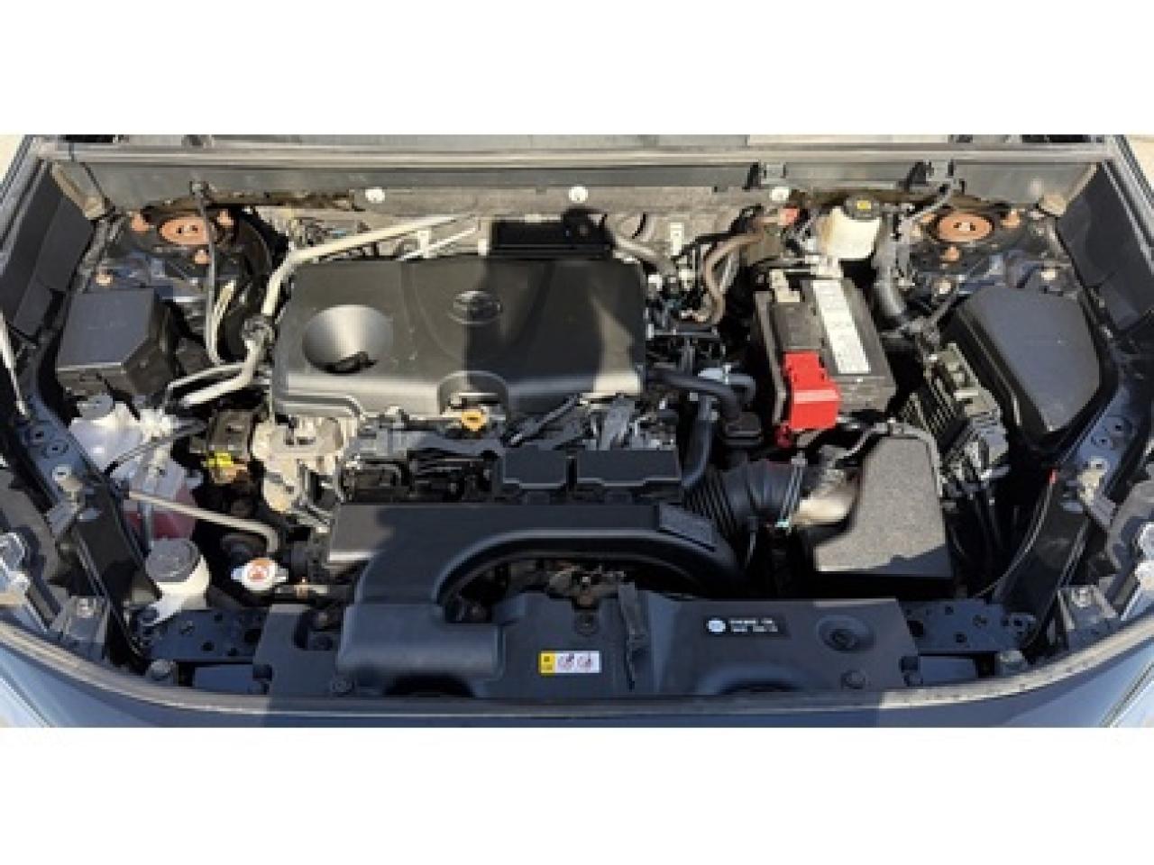 2019 Toyota RAV4 TRAIL Photo