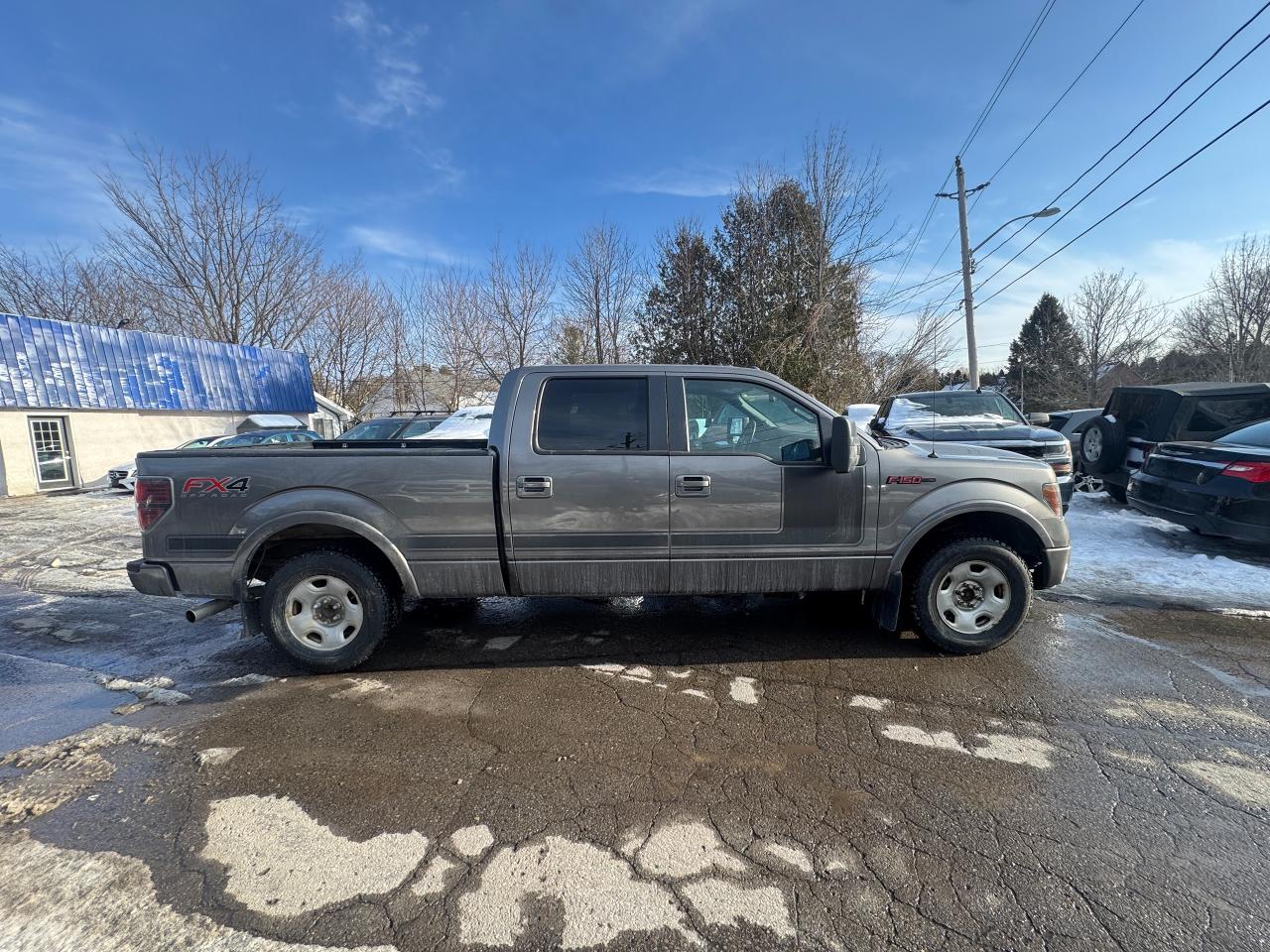 2012 Ford F-150 FX4 - Photo #8