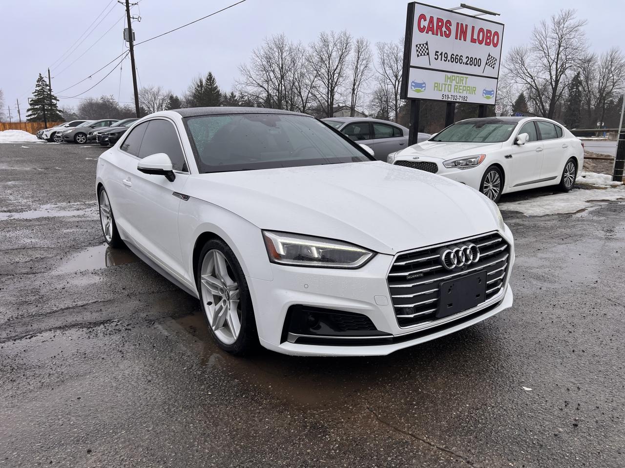 2018 Audi A5 Technik Photo