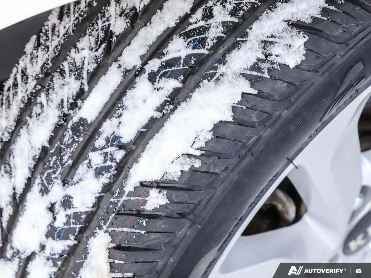 2017 Kia Rio 5dr HB Auto EX Special Edition,ECO,R/V CAM,H/SEATS Photo