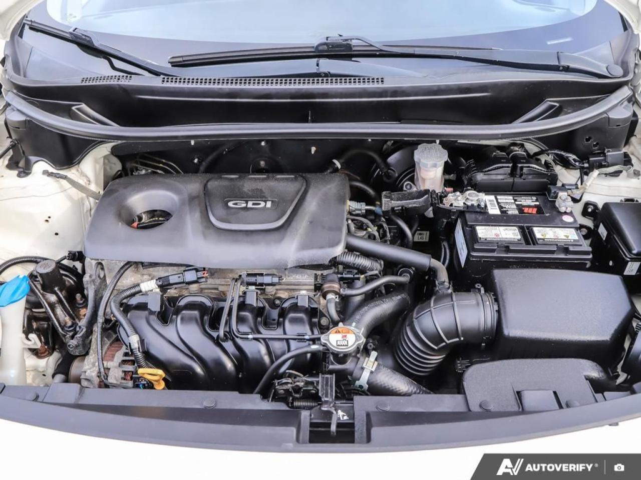 2017 Kia Rio 5dr HB Auto EX Special Edition,ECO,R/V CAM,H/SEATS Photo